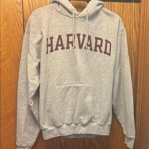 3/$20 Champion Gray Collegiate Sweatshirt